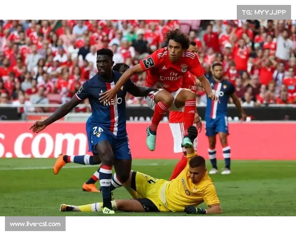 纽卡斯尔接触菲利克斯，马竞标价8000万欧